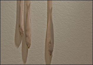 The Best Mother Joke Ever, by Christopher Robbins